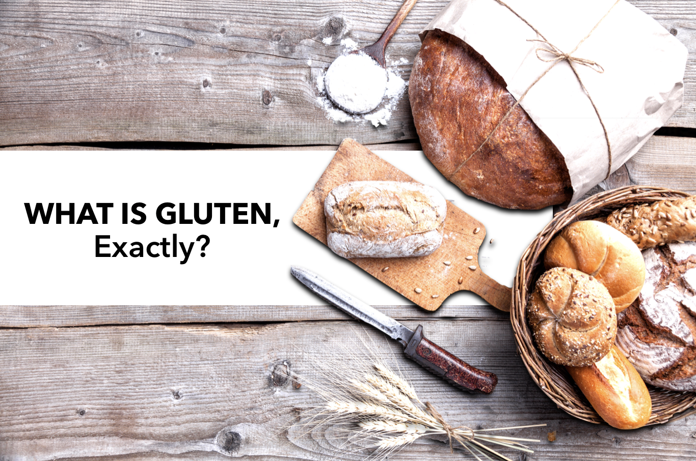 What is Gluten? exactly